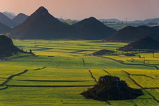 soi cau bdinh