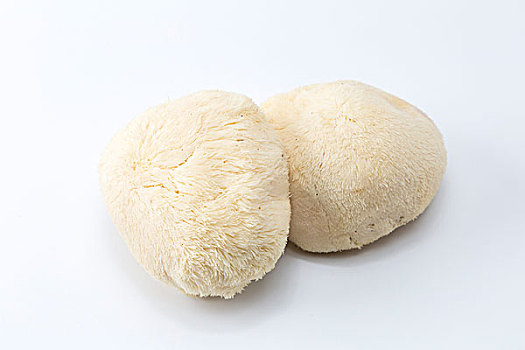 nha cai lo de