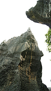 xs tây ninh