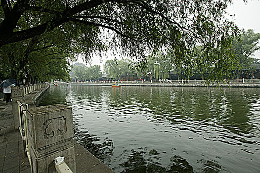 lo de gan