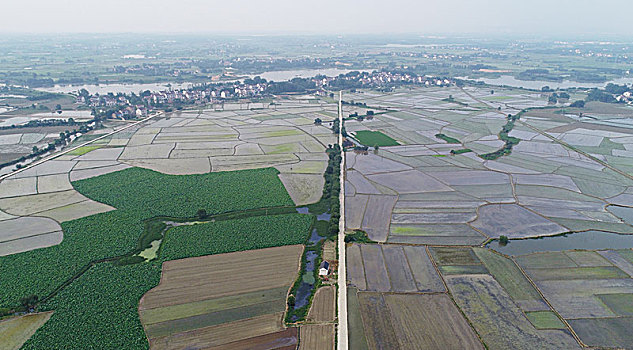 đề online