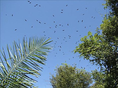 số lô đẹp