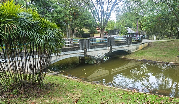 soi cầu đề chuẩn