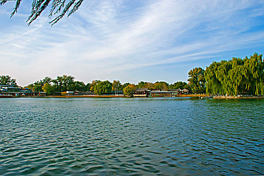 soi cầu bạch thủ 247