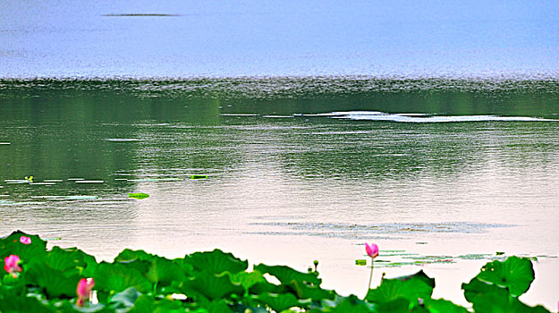 xsmn t2 minh ngoc