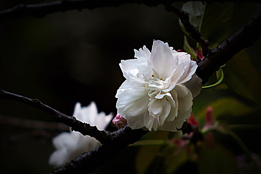 cách đánh lô miền bắc