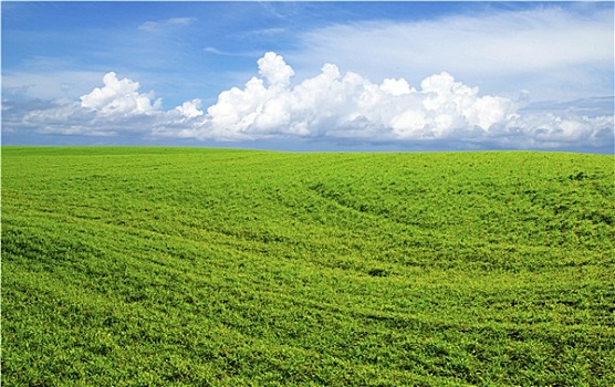 xổ số tây ninh