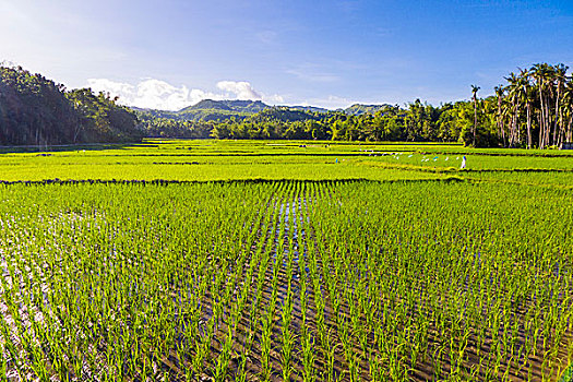 xs thứ 5