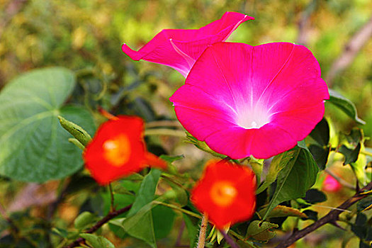 xổ xổ số miền nam